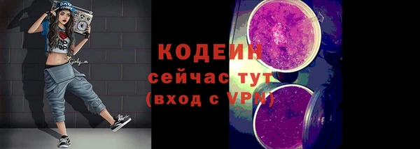 дмт Надым