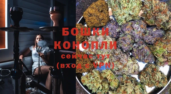 дживик Наволоки