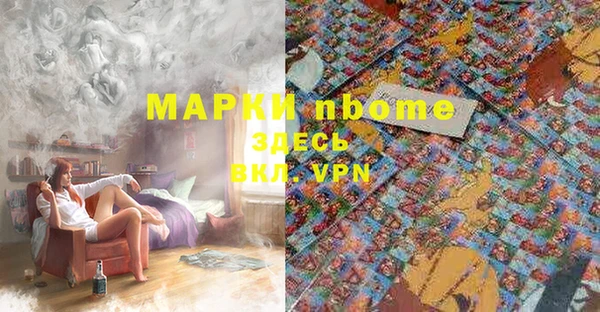 дмт Надым