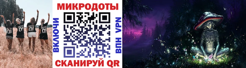 наркотики  Обоянь  Галлюциногенные грибы Psilocybe 